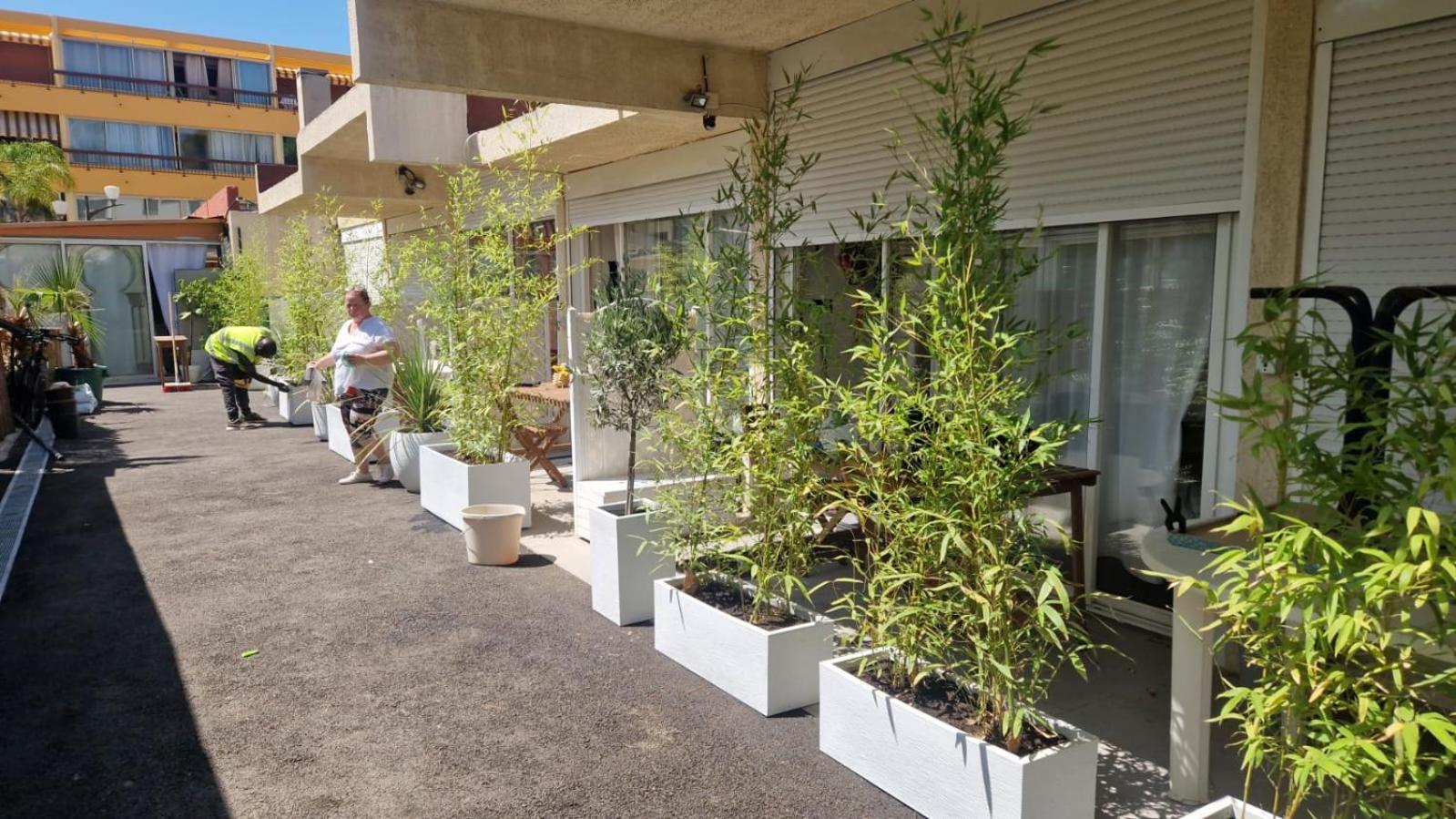 Ferienwohnung Asklan Bormes-les-Mimosas Exterior foto
