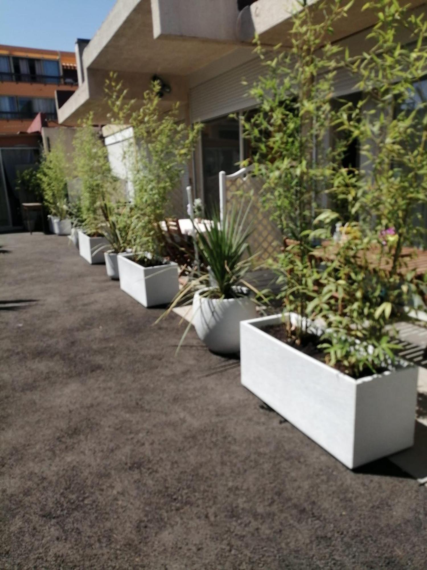 Ferienwohnung Asklan Bormes-les-Mimosas Exterior foto